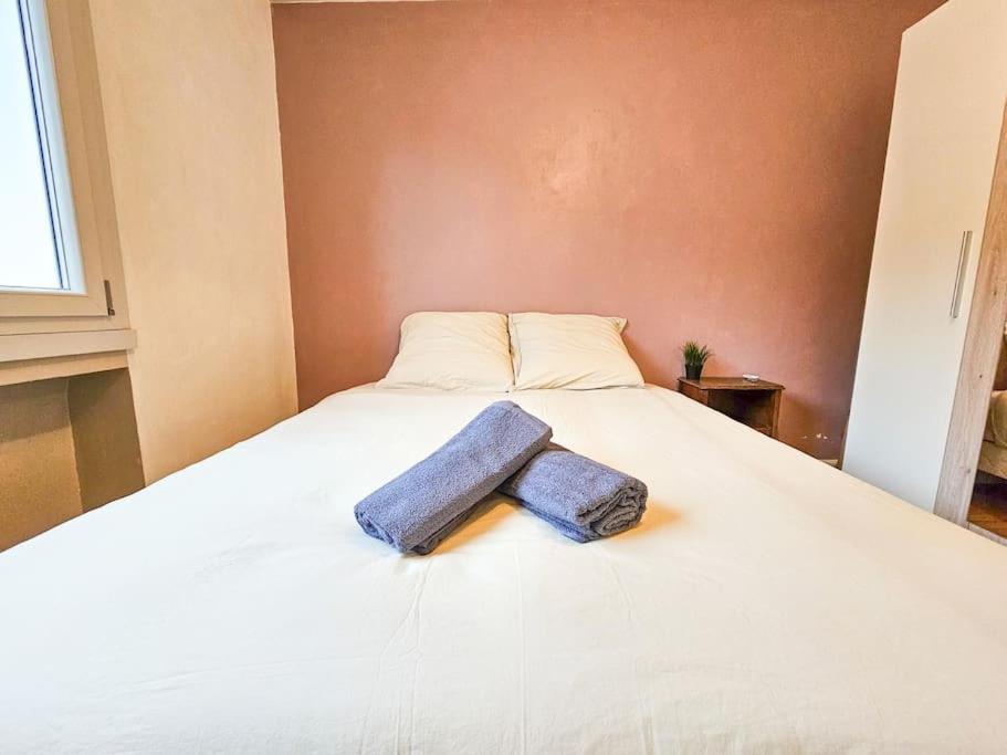 Le Bergson 3 Chambres Stationnement Gratuit Saint-Etienne  Eksteriør billede