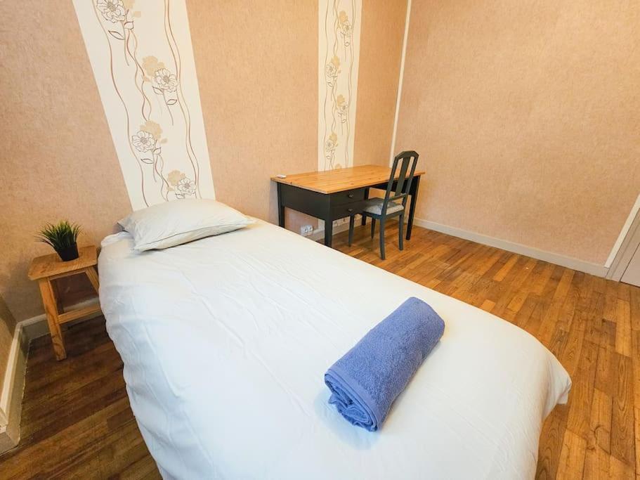 Le Bergson 3 Chambres Stationnement Gratuit Saint-Etienne  Eksteriør billede